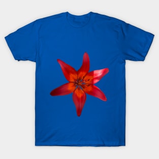Bold Lilly T-Shirt